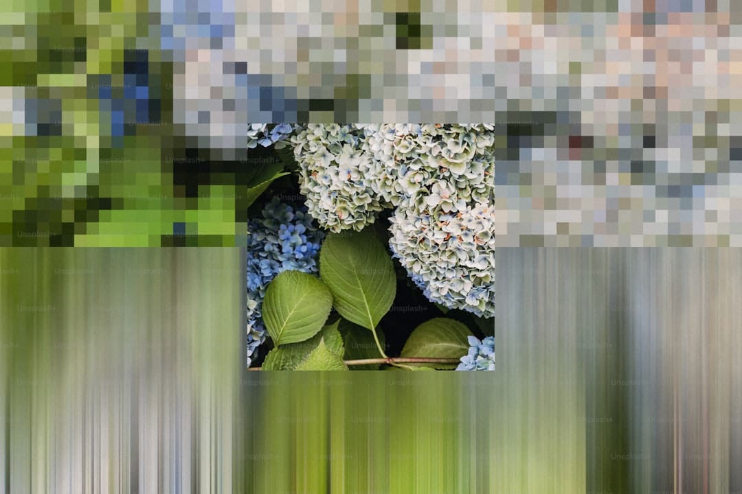 爱是万物，生生不息——朗艺西安一周年暨三人行七周年盛典圆满成功